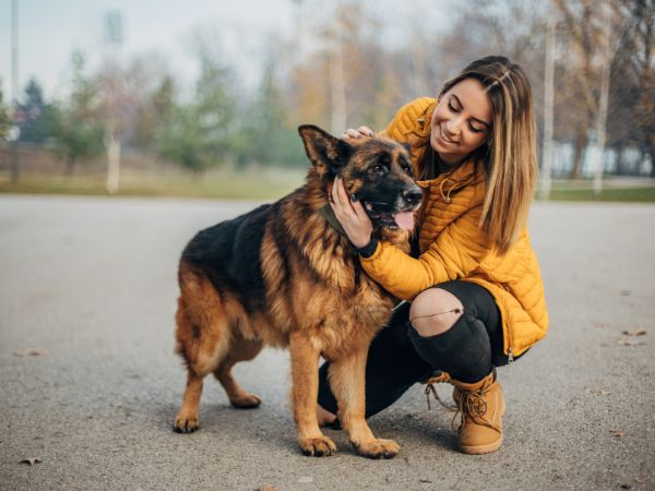 Woman petting German Shepherd dog Woman petting German Shepherd dog